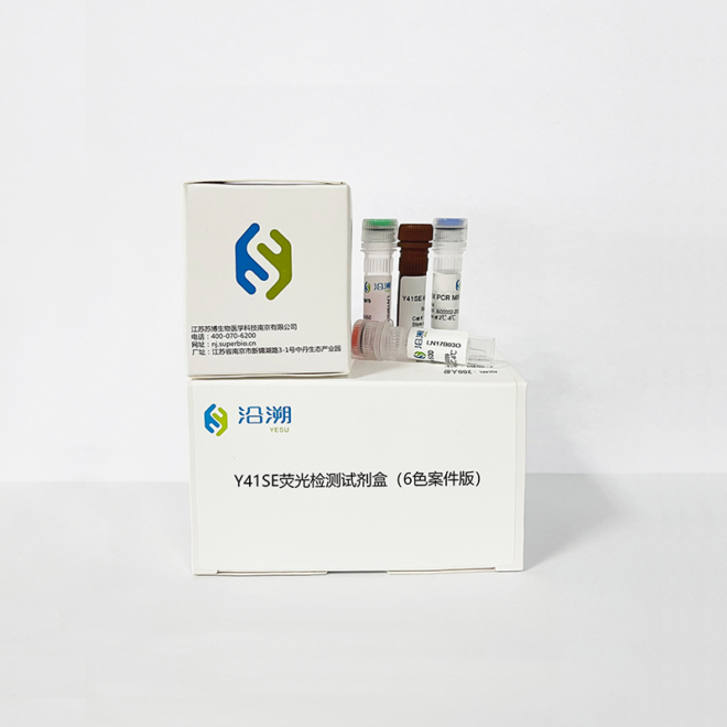 Y41SE Fluorescence Detection Kit (6-Color Forensic Kit)
